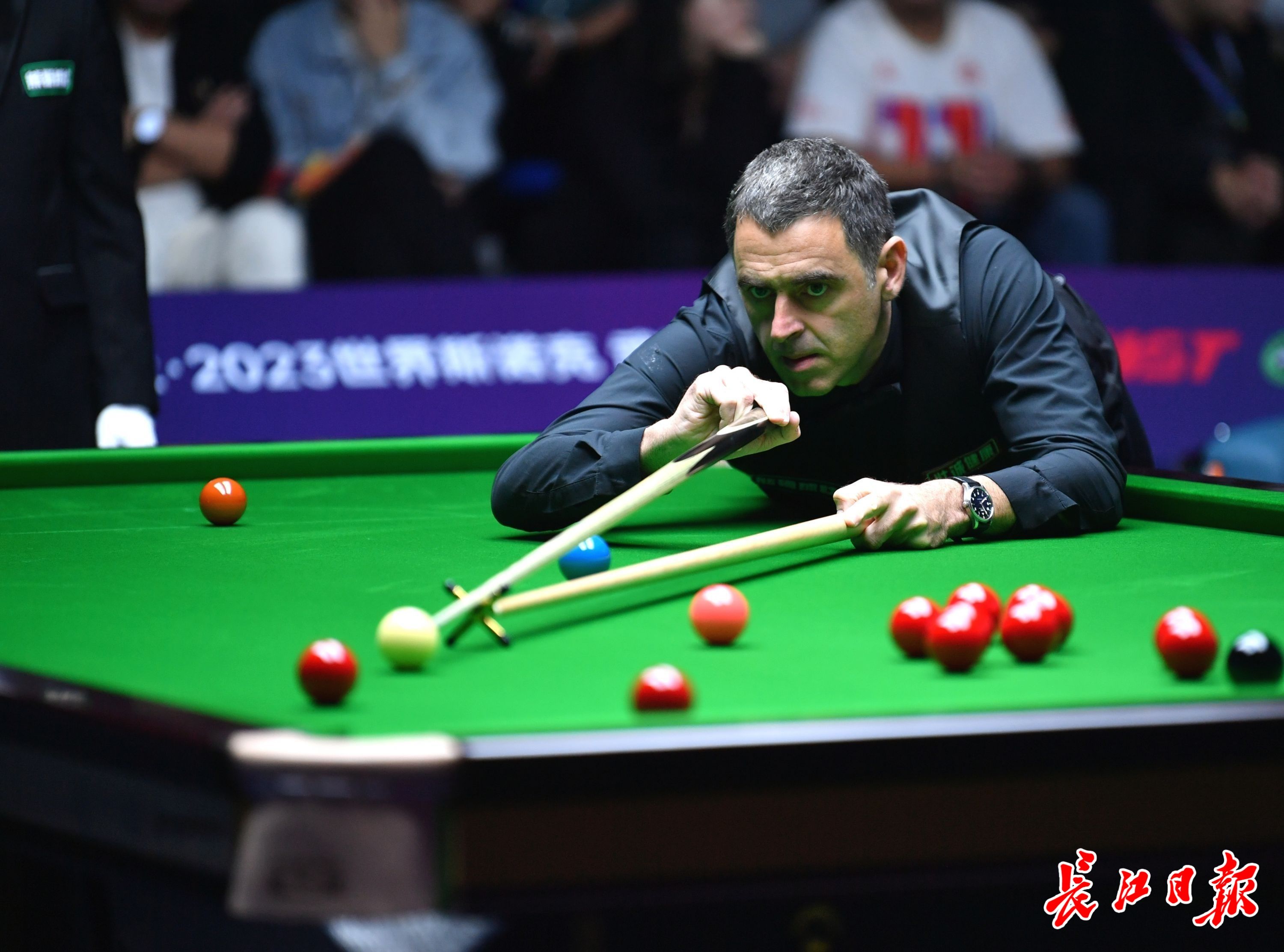 逐渐赢得了 逐渐赢得了