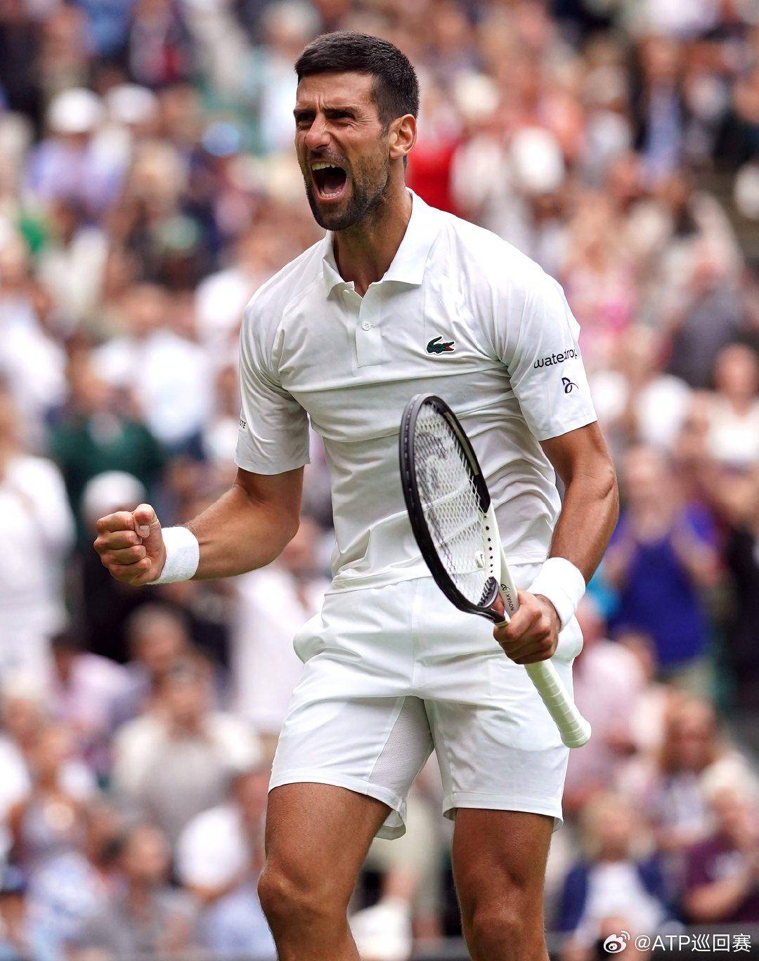 检验两队本 检验两队本